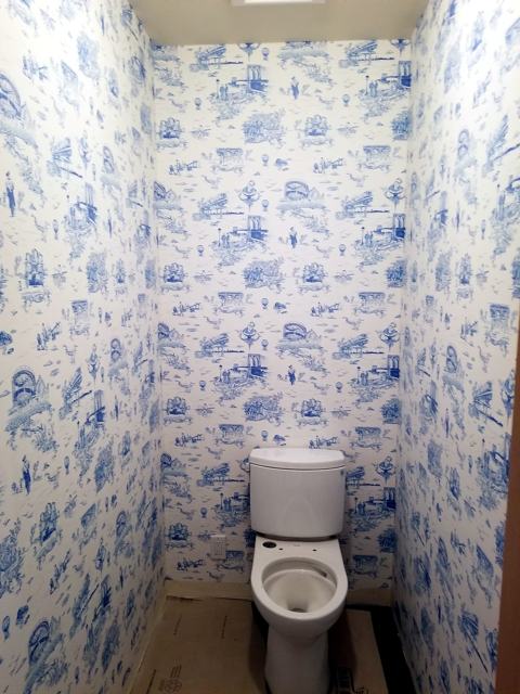 Blue toile bath: Full room