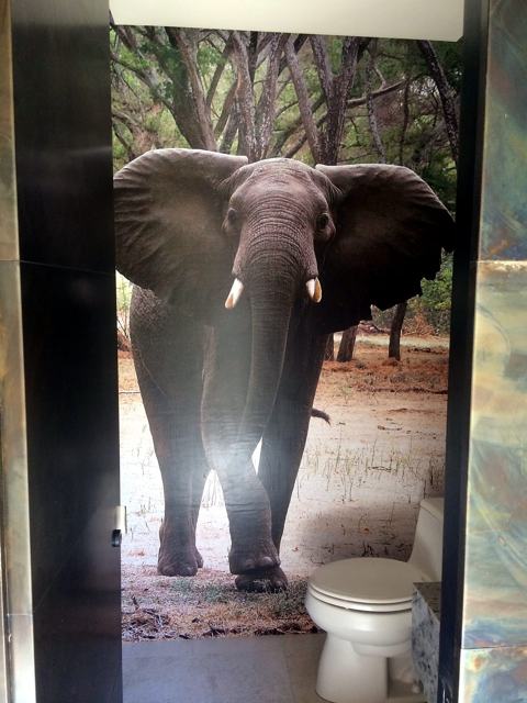Elephant mural — powder room: A conversation piece