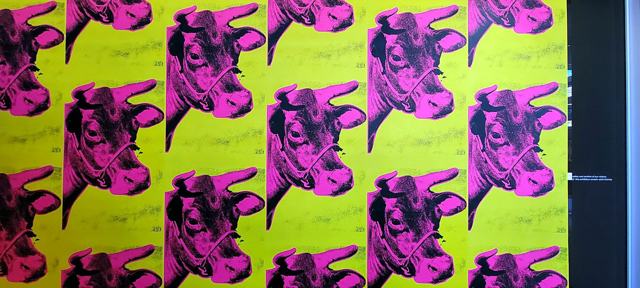 Museum exhibition — Aspen: Warhol's Cow, hung