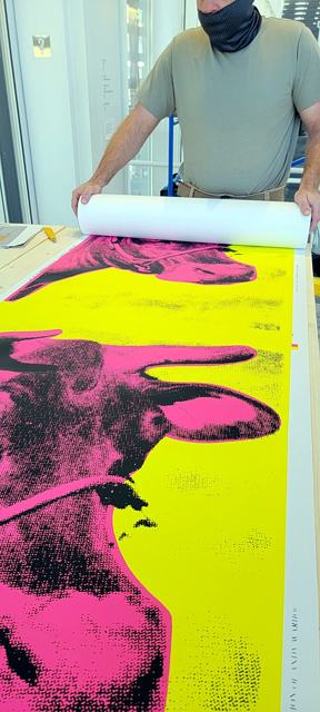 Museum exhibition — Aspen: Unrolling the Cow print