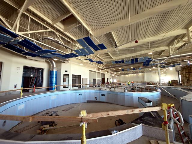 Acoustic ceiling panels — aquatic center: Panel clouds over the pools