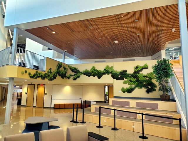 Acoustic vine wall — community atrium: Another angle