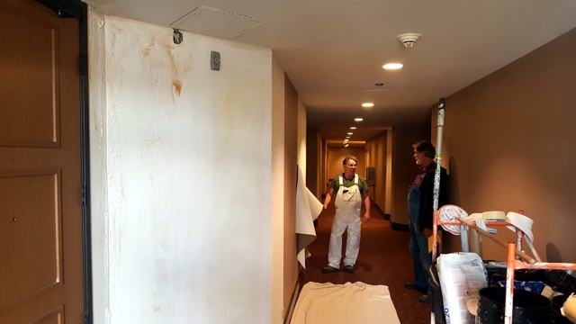 Photographic winter murals — hotel: Corridor work in progress